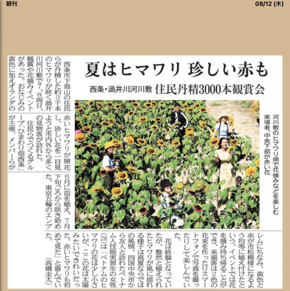 愛媛新聞に記事掲載 ひまわり畑 西条