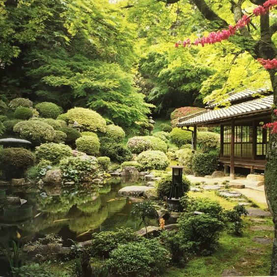 日本の代表的な和風庭園の景色です 中村庭園管理舎 Nakamura Garden Management Ahause