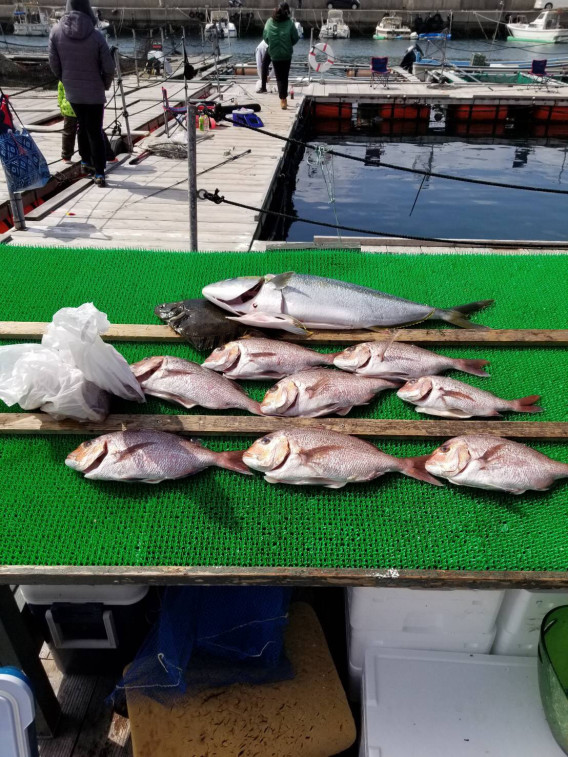 令和2年 総集編 和歌山県釣り堀 ヒラマサ カワガレイ 真鯛 Tokyo Bay Fishing Club