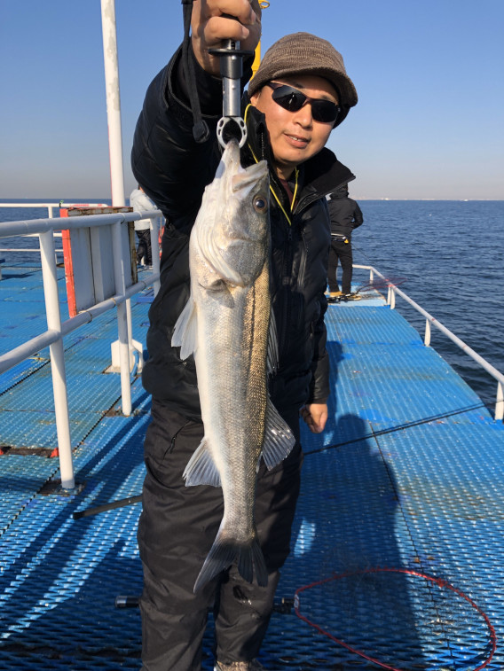 令和2年2月8日 市原釣り公園 コノシロ釣り放題とシーバス Tokyo Bay Fishing Club