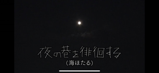 夜の巷を徘徊するに ベジフル発酵ジュースとレシピが Total Health Beauty K S