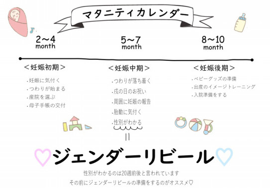 ジェンダーリビールをするタイミングはいつ ジェンダーリビール専門サイト
