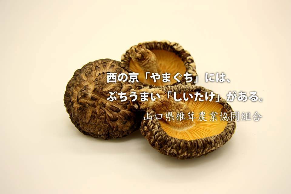 山口県椎茸農業協同組合's Ownd