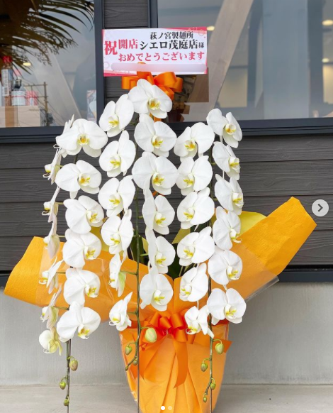 仙台 ページ14 国分町 Flower Cake Megu 花屋とケーキのお店
