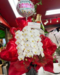 胡蝶蘭 国分町 Flower Cake Megu 花屋とケーキのお店 胡蝶蘭 国分町 Flower Cake Megu 花屋とケーキのお店