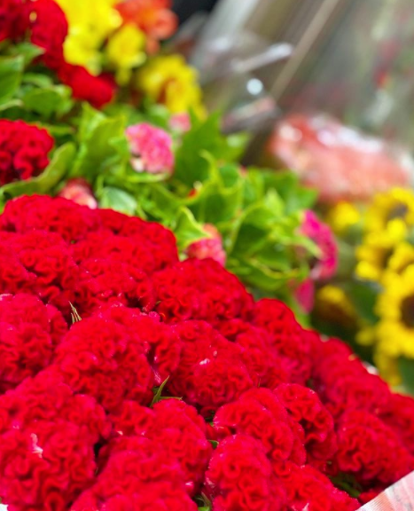 ケイトウ 花言葉 おしゃれ 色あせぬ恋 国分町 Flower Cake Megu 花屋とケーキのお店