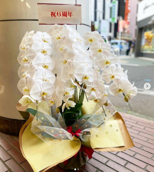 ✨6周年お祝い豪華胡蝶蘭✨ | 国分町 Flower & Cake Megu 花屋とケーキ