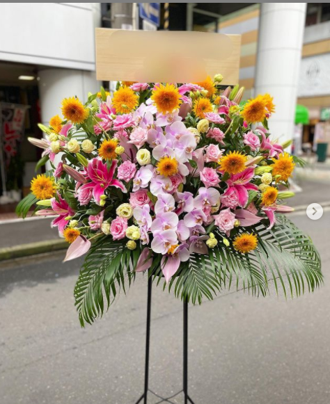 胡蝶蘭ソフトカラースタンド花 国分町 Flower Cake Megu 花屋とケーキのお店