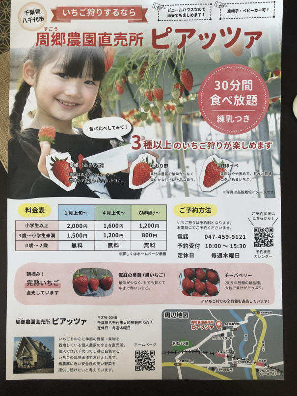 八千代のいちご Powerful Fruits 八千代のいちご Powerful Fruits