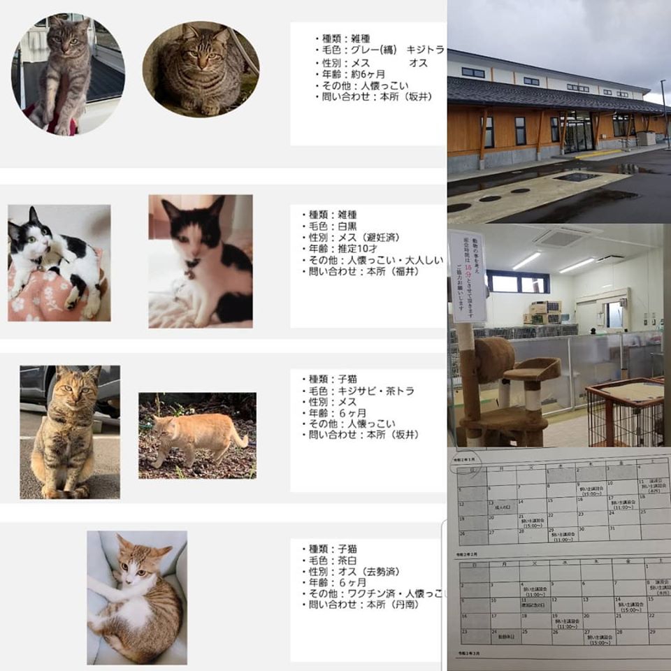 福井県動物管理指導センターの視察に行ってきました 敦賀市議会議員 三國真弓