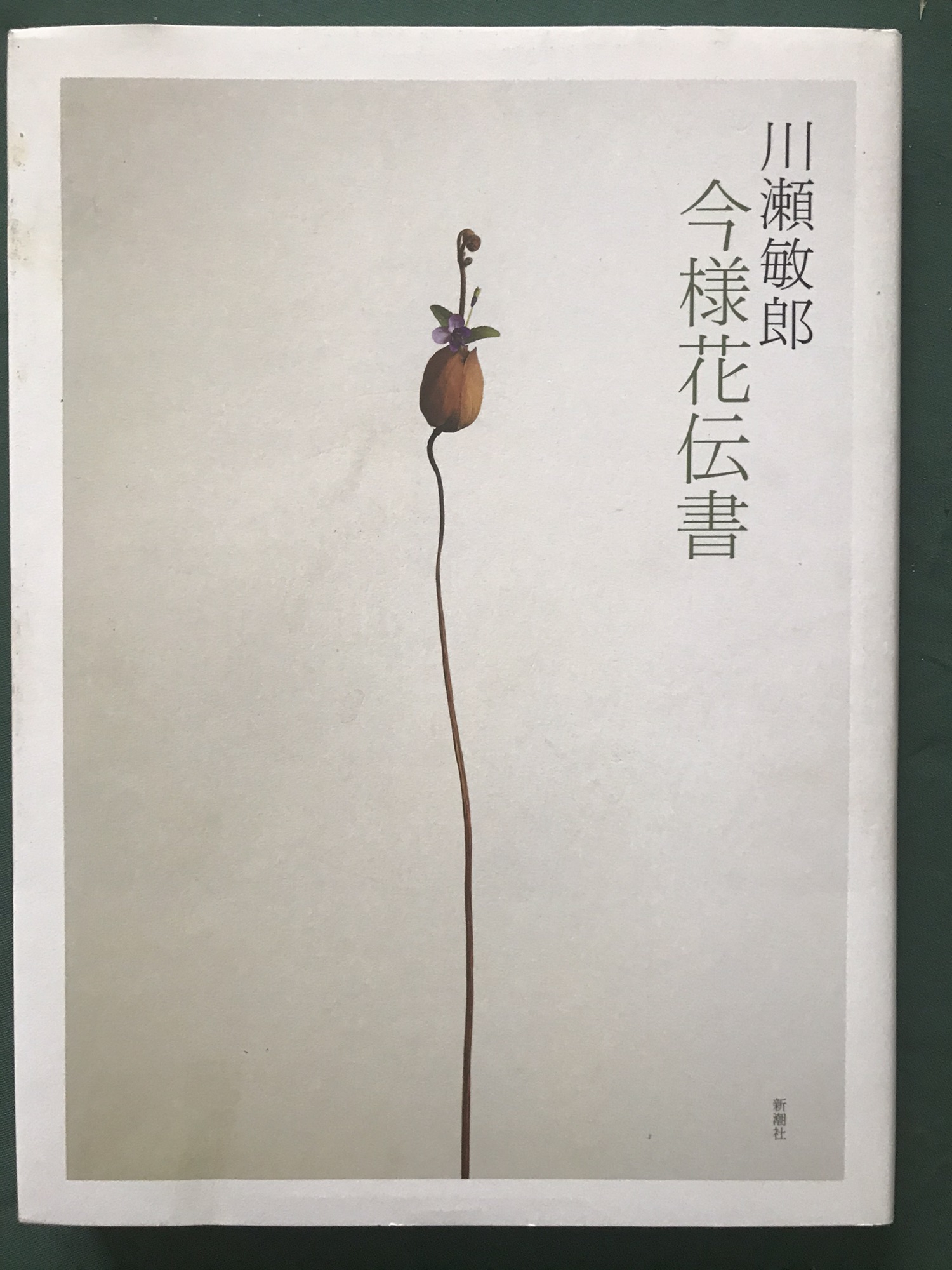 Inspired Flower Arrangements 川瀬敏郎のいけばな集 【川瀬敏郎