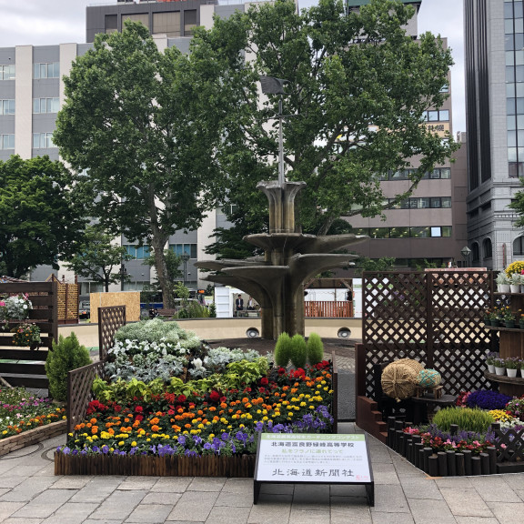 お知らせ 花フェスタ札幌 Hanafesta Sapporo