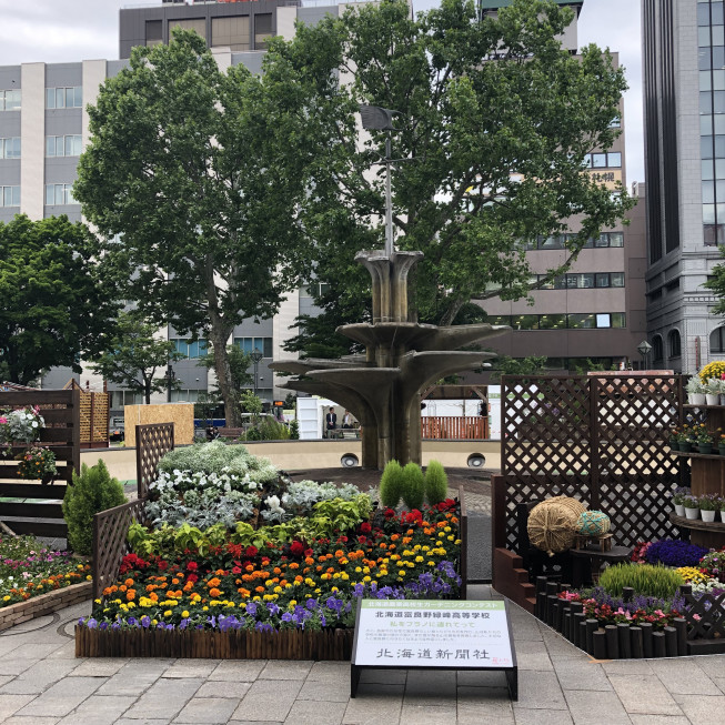 無料ダウンロード札幌 花 フェスタ すべての美しい花の画像