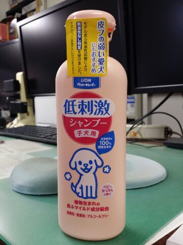 老犬よ 耳垂れ下痢 治すから Lenzuman S Ownd ピアノ発表会写真撮影 カメラマンの日常