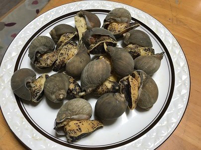 あおもり物産