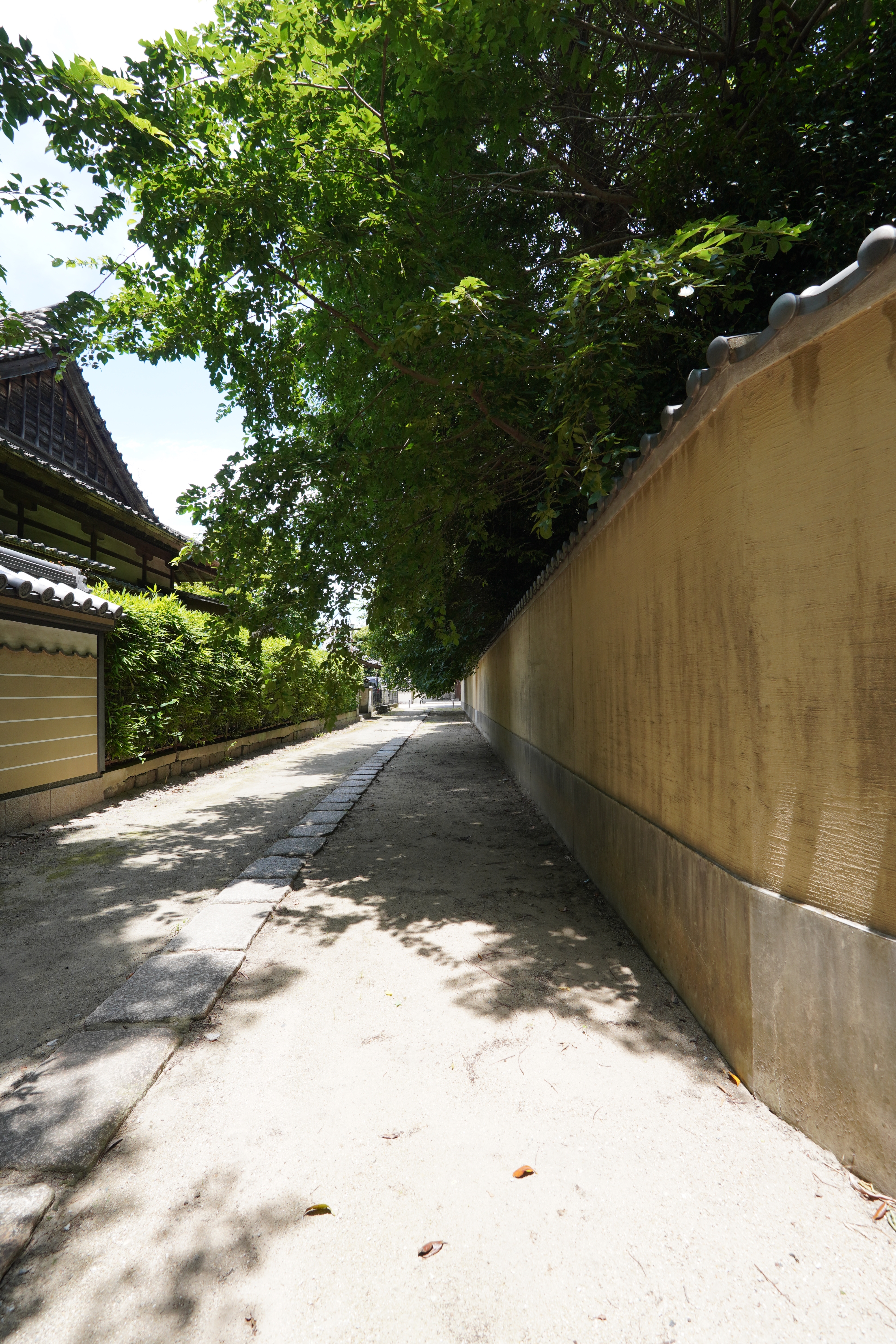 聖福寺 仙崖さんのお墓 博多旧市街4 | 大谷弘至 official site