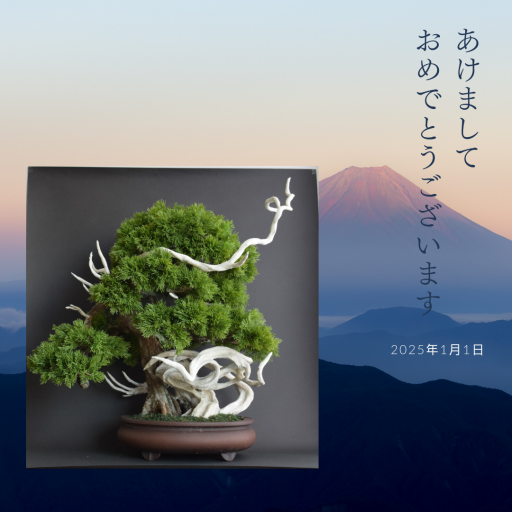 昭和レトロ レア 豆盆栽 中村是好 本 - メルカリ