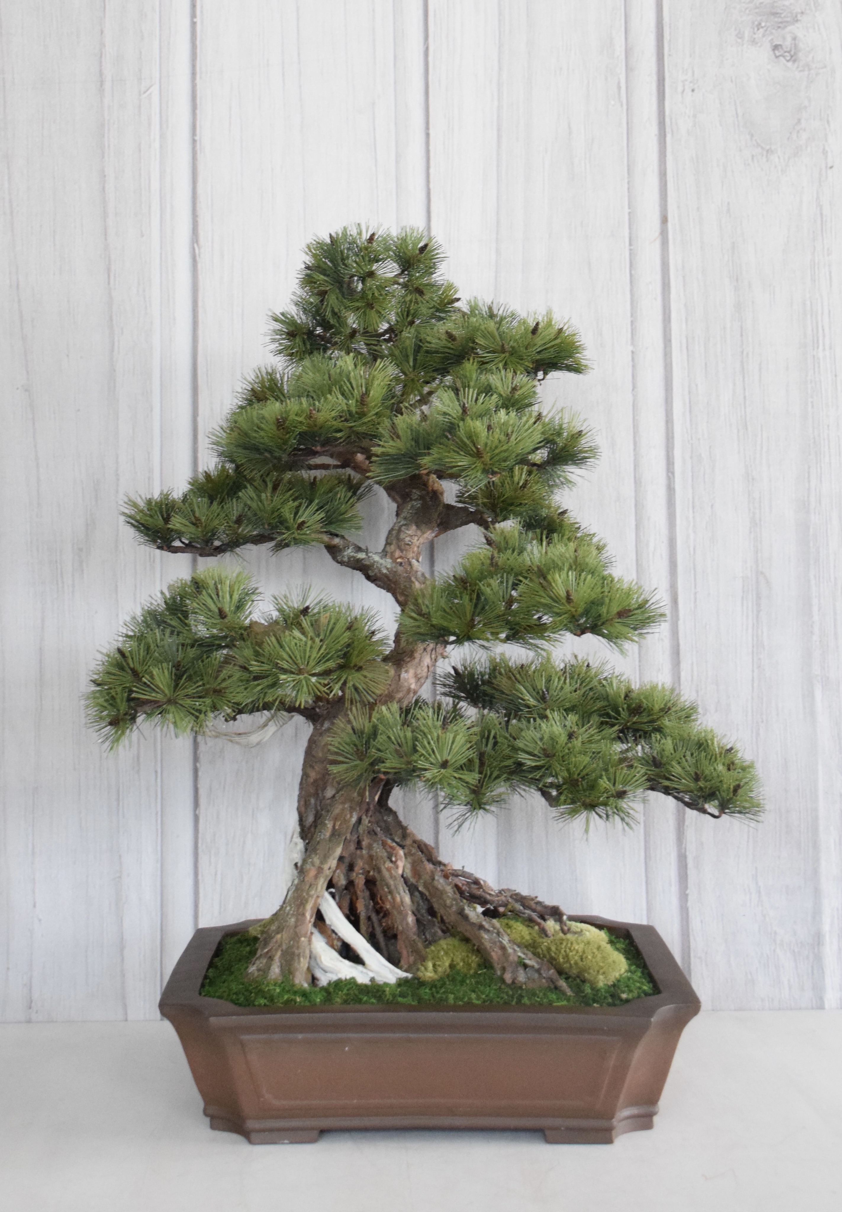 24f92390bec3c3158c4bf97824c779