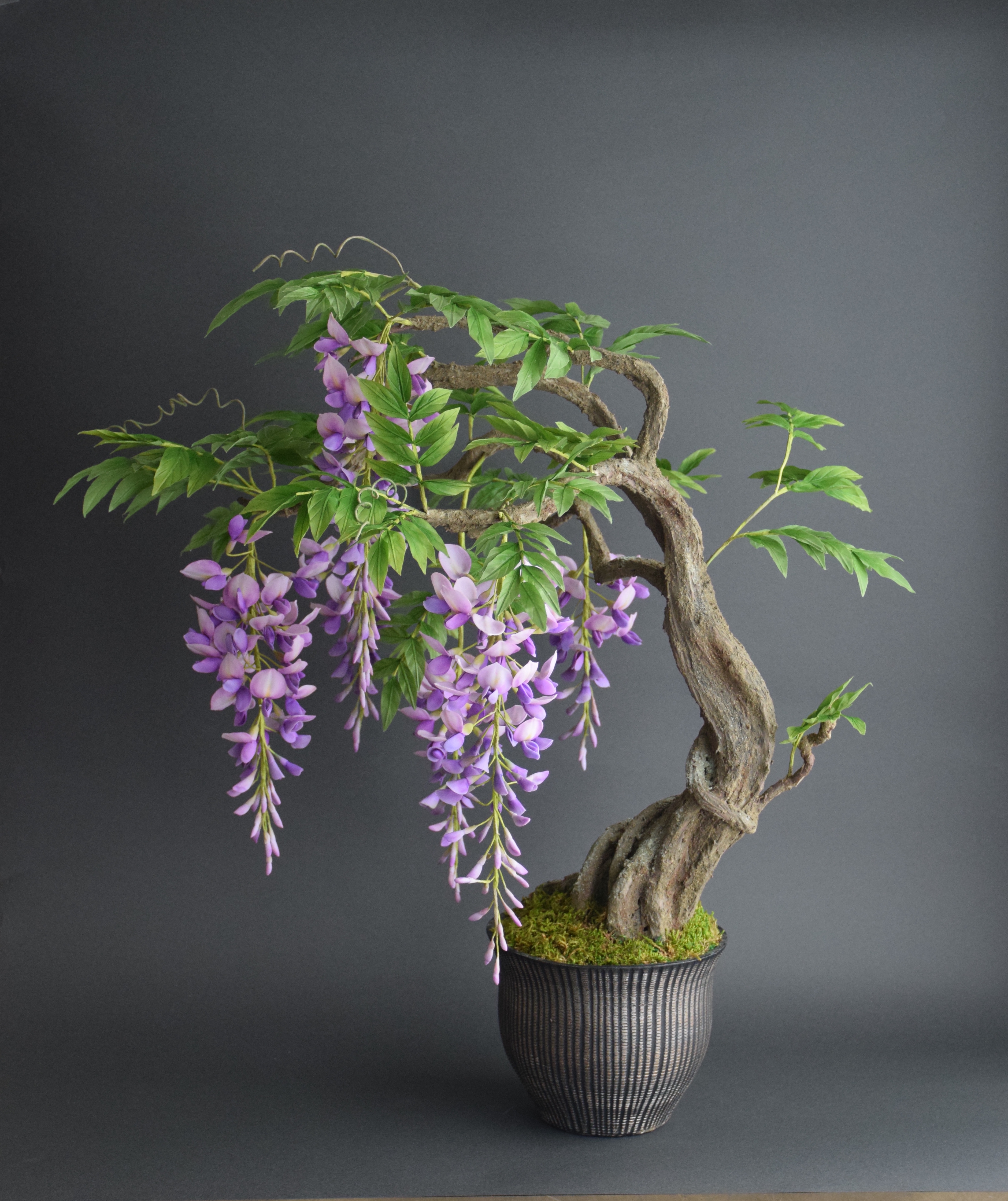 ショップ&ギャラリー | 日本クラフト盆栽作家協会