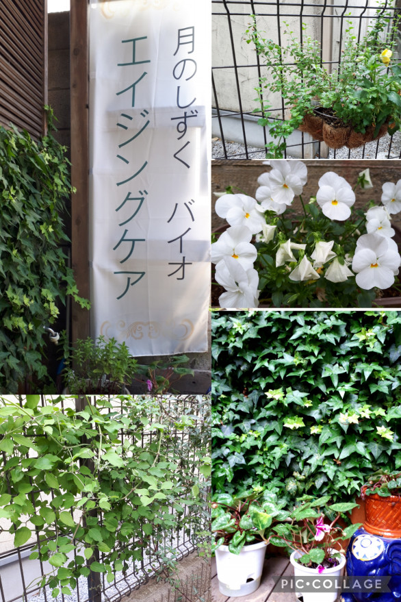 サロン | お水とアロマ☆ サロン「大和橘」