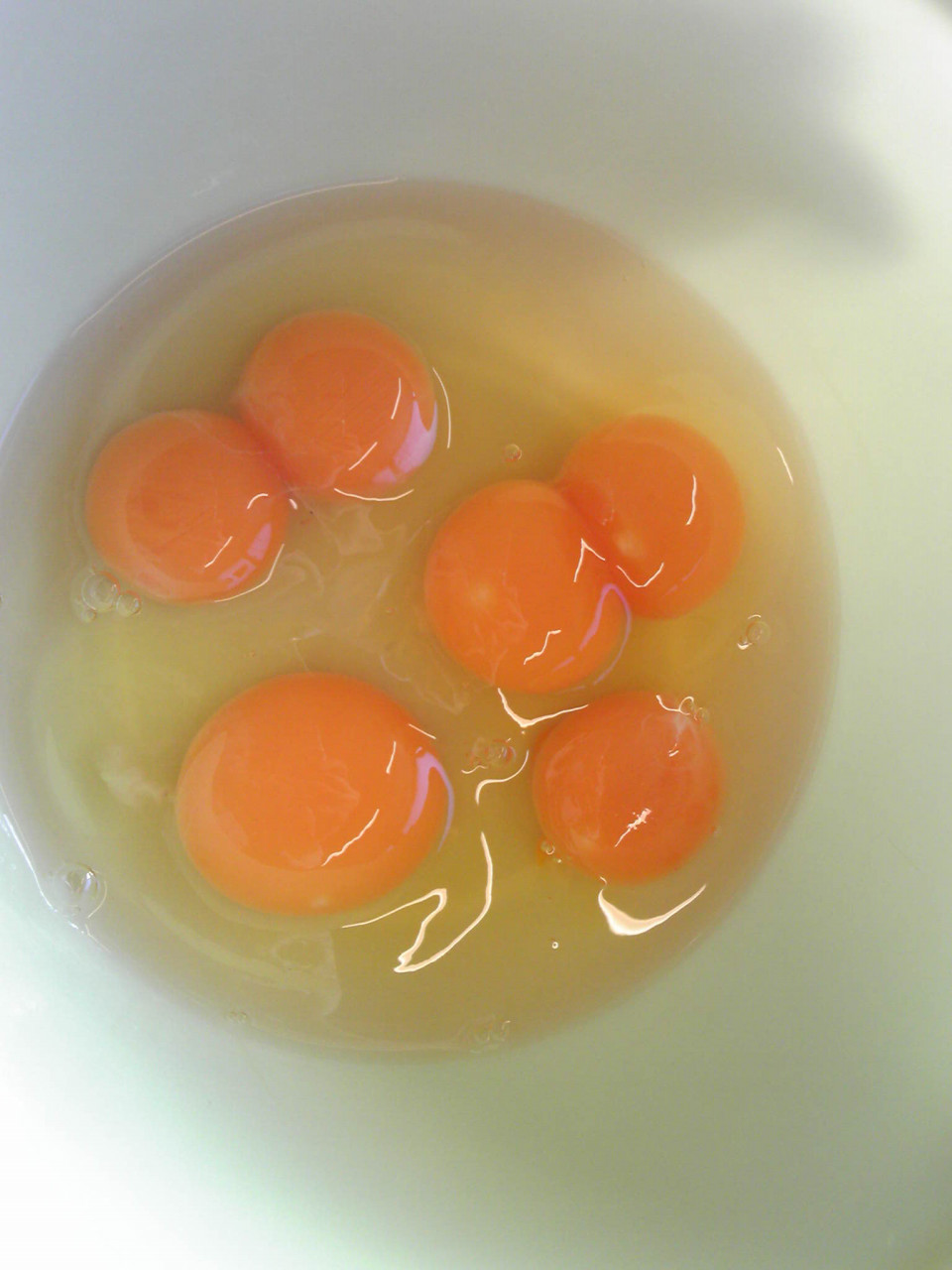 春の陽気に誘われて ラッキー 卵の黄身が２個 カメラの中野のスタッフブログ 熊本県の写真店