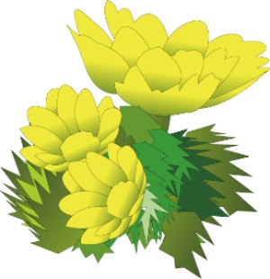 株式会社アドニス