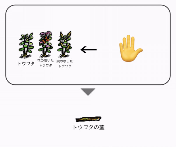 トウワタ Ohol Help チャンブラス トウワタ Ohol Help チャンブラス