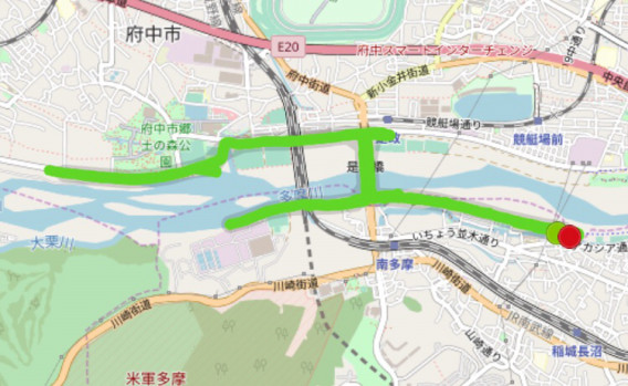 多摩川の土手を稲城から府中郷土の森公園あたりまで 晴れたらダホン 雨ならラミーを引き連れて