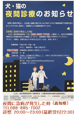 保護猫カフェ Moco Moco 保護猫カフェ Moco Moco