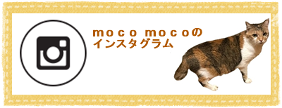 保護猫カフェ Moco Moco