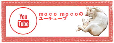 保護猫カフェ Moco Moco