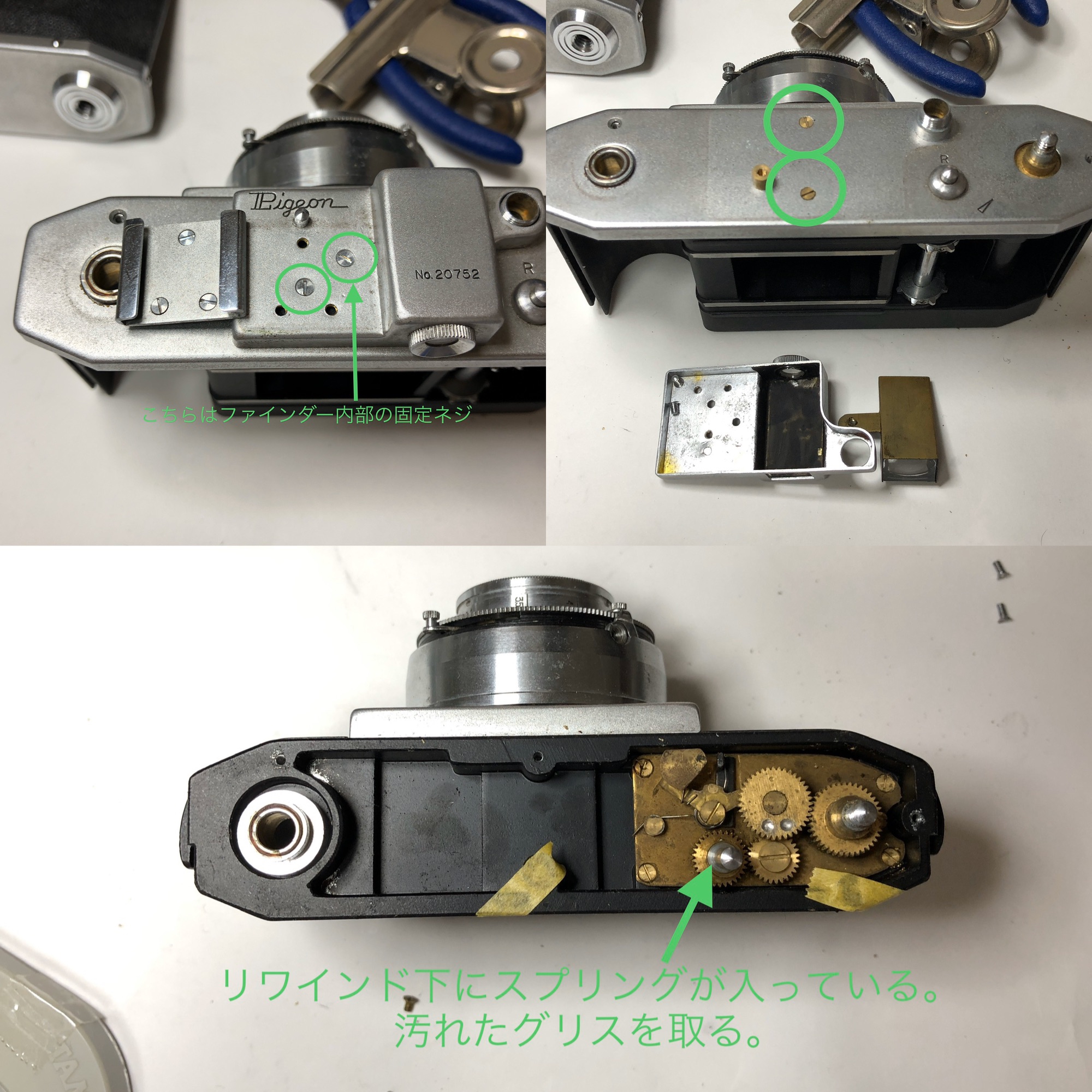 Pigeon 35 JⅡ | いまをあつめる、ひかりたち。