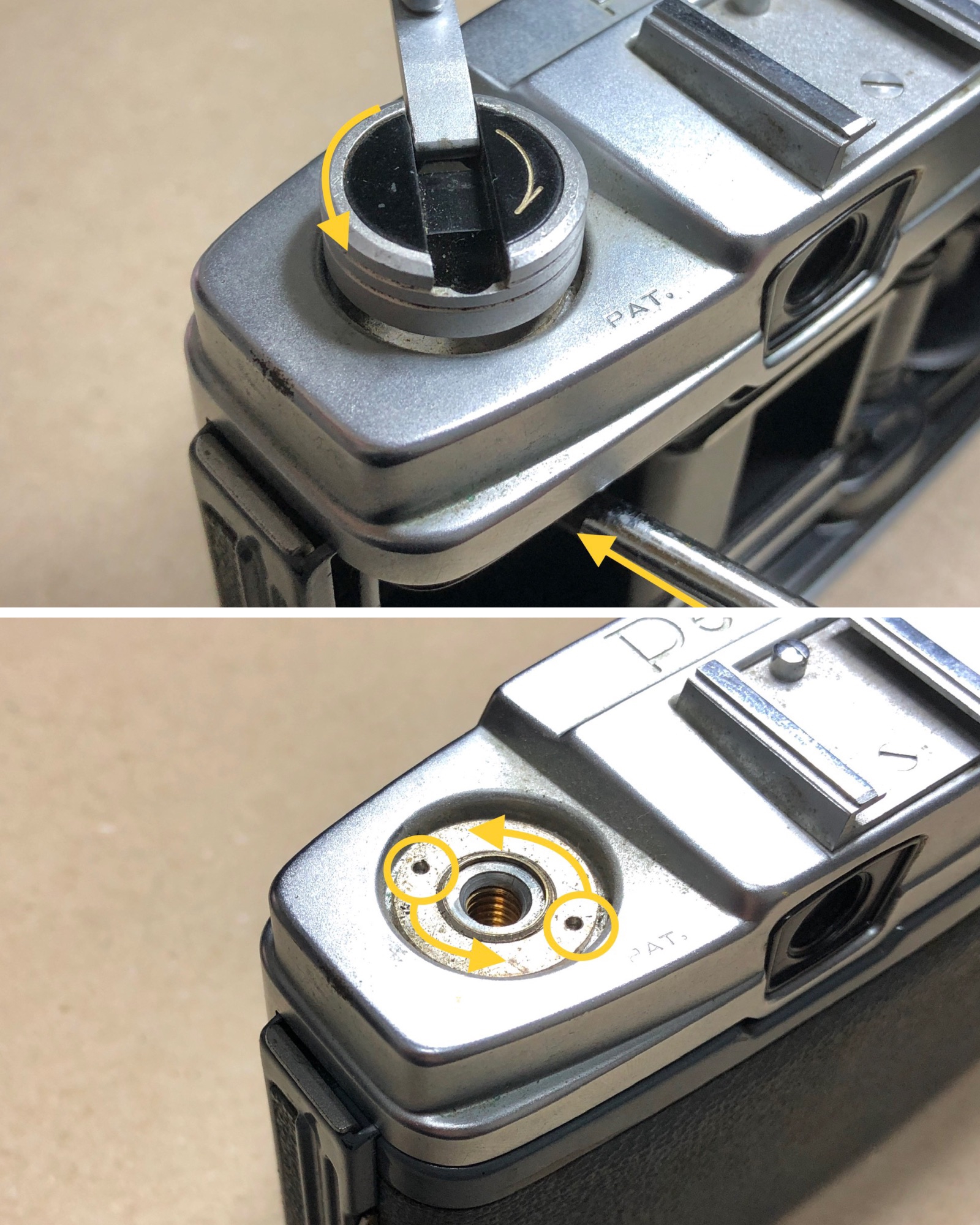 PETRI HALF | いまをあつめる、ひかりたち。