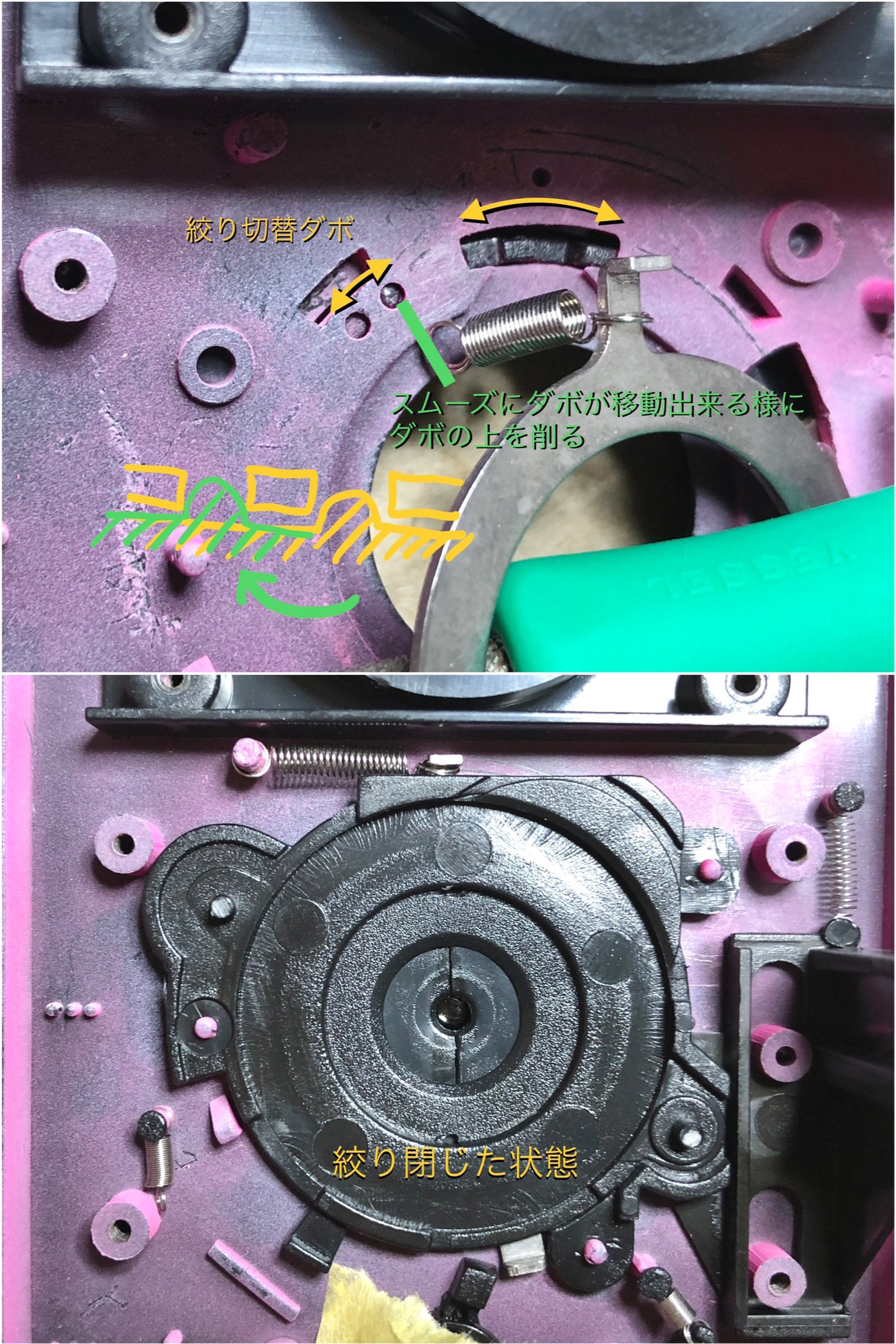 BlackBird Fly | いまをあつめる、ひかりたち。