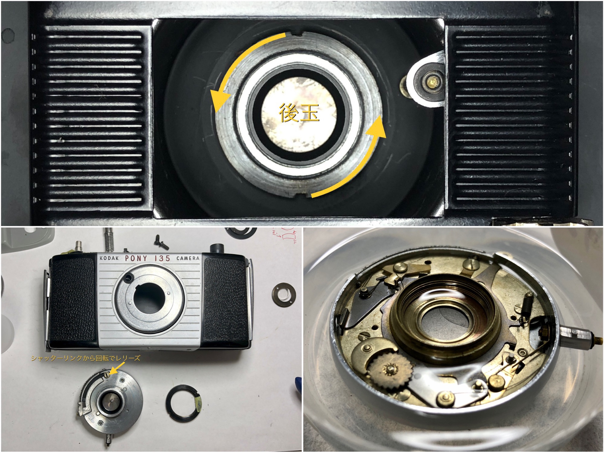 KODAK PONY135 | いまをあつめる、ひかりたち。