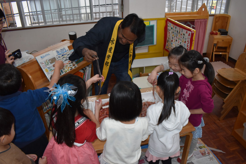 大谷幼稚園魚触 魚食講座 鹿児島大学 水産学部 水産資源科学分野 資源生物学研究室 大谷幼稚園魚触 魚食講座 鹿児島大学 水産学部 水産資源科学分野 資源生物学研究室