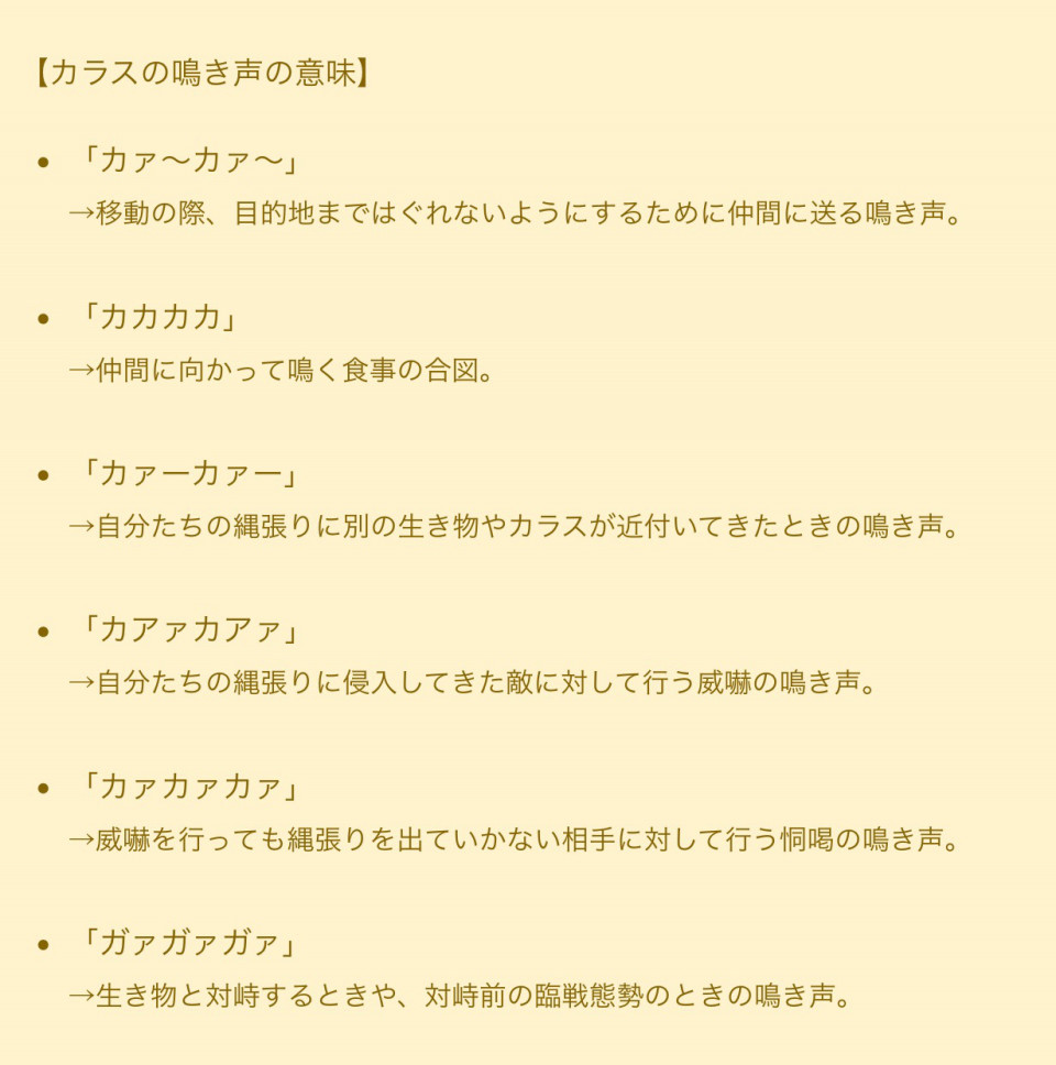 カラス の 鳴き 方 カラス の 鳴き 方