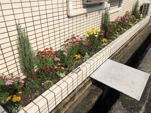 花壇の植え替え 花しきぶブログ 伊丹市の園芸店
