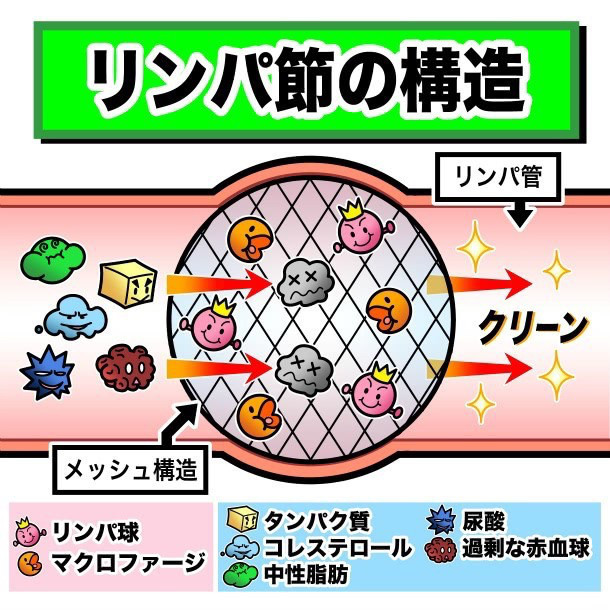 リンパマッサージの効果 東大阪 鴻池 癒しの空間 あんじゅ リンパマッサージ 小顔矯正 よもぎ蒸し