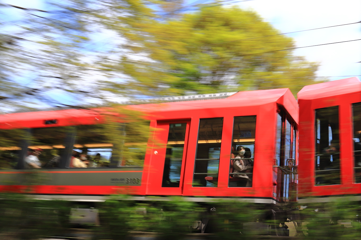 スーパー春はこね（箱根登山鉄道） | 四季の旅写真Gallery Annex