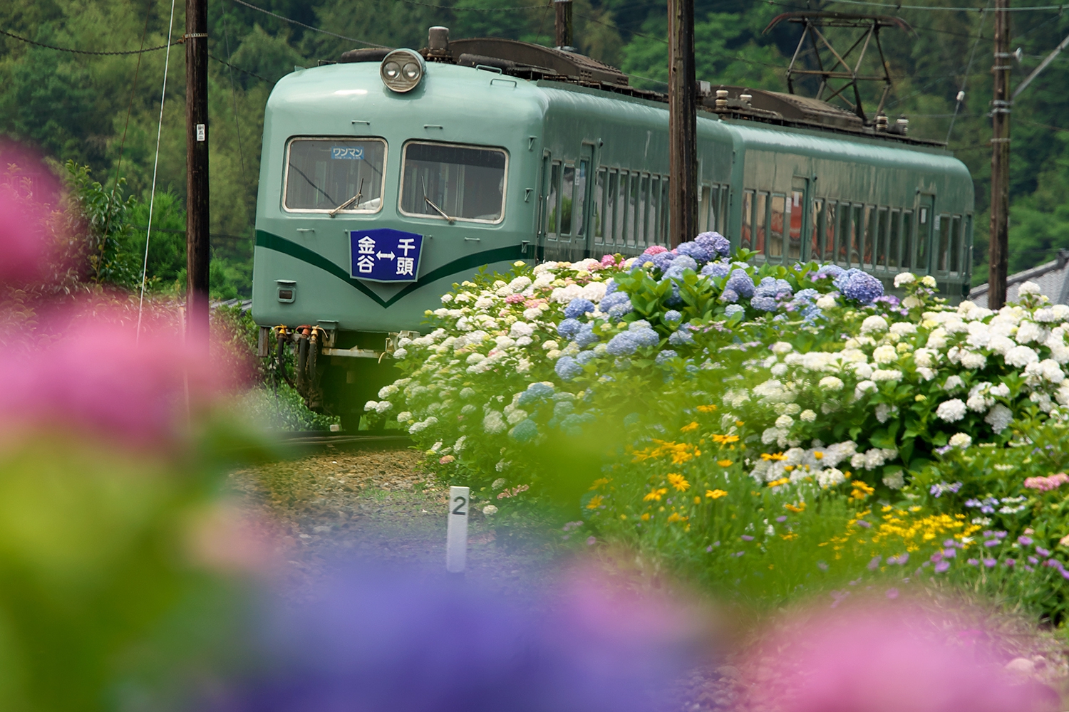 鉄道風景2009総括（模索） | 四季の旅写真Gallery Annex