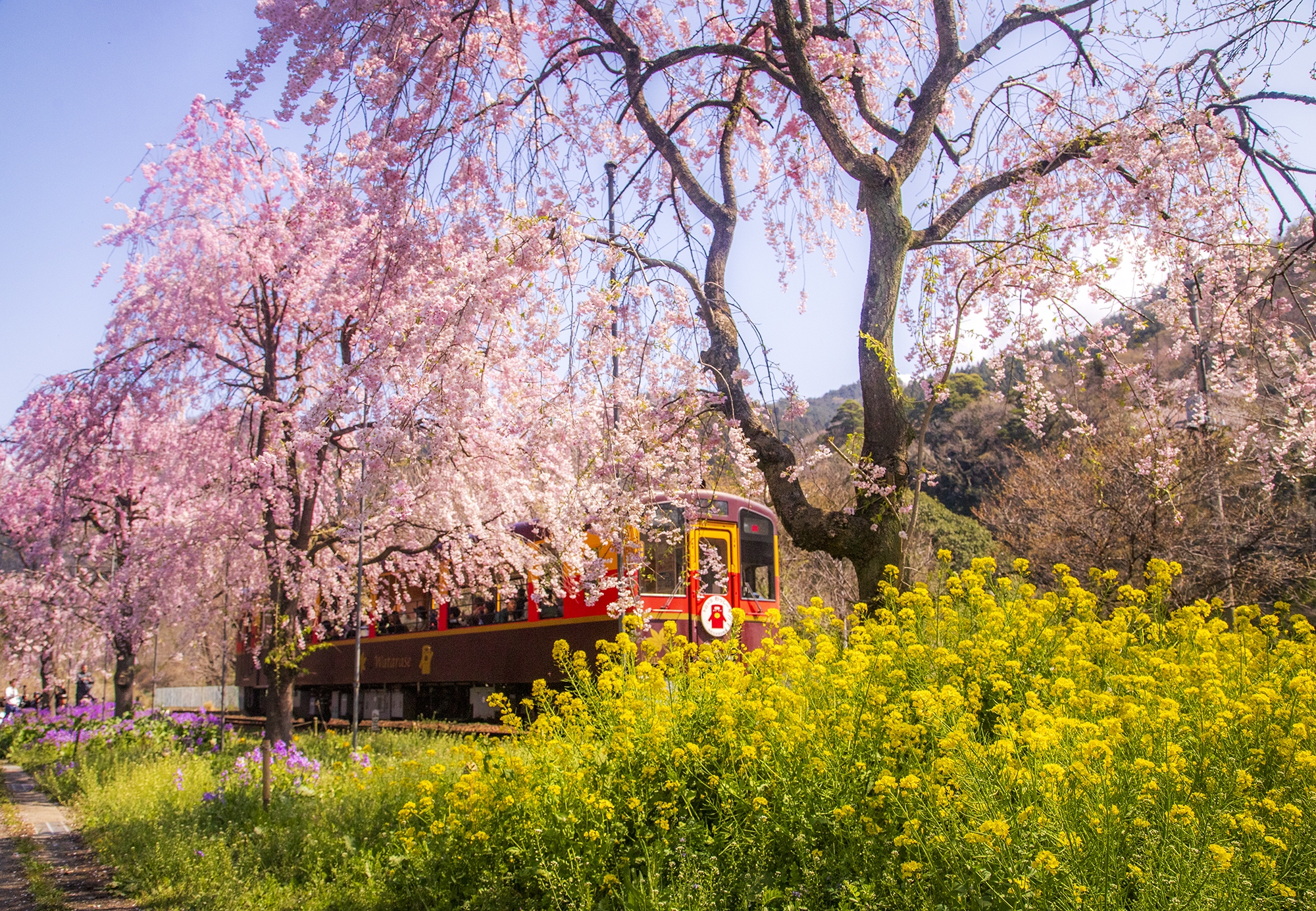 春遠征2025（わたらせ渓谷鐡道） | 四季の旅写真Gallery Annex