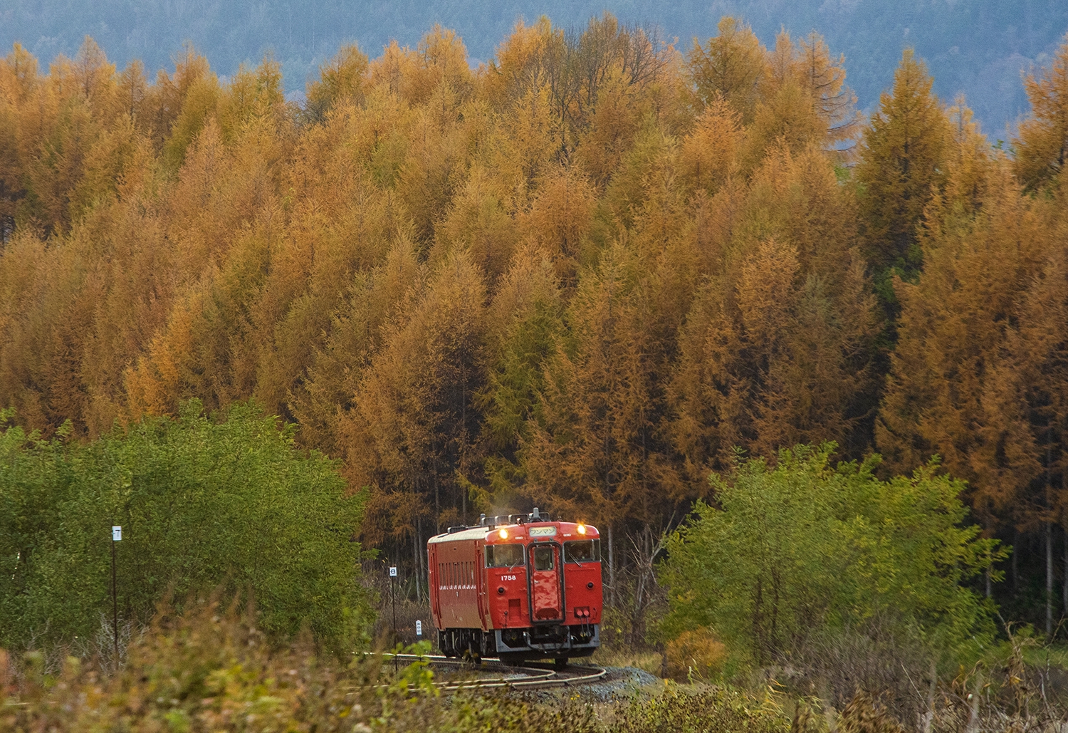 今年も「いちばん好きな北海道」に会えました（根室本線） | 四季の旅