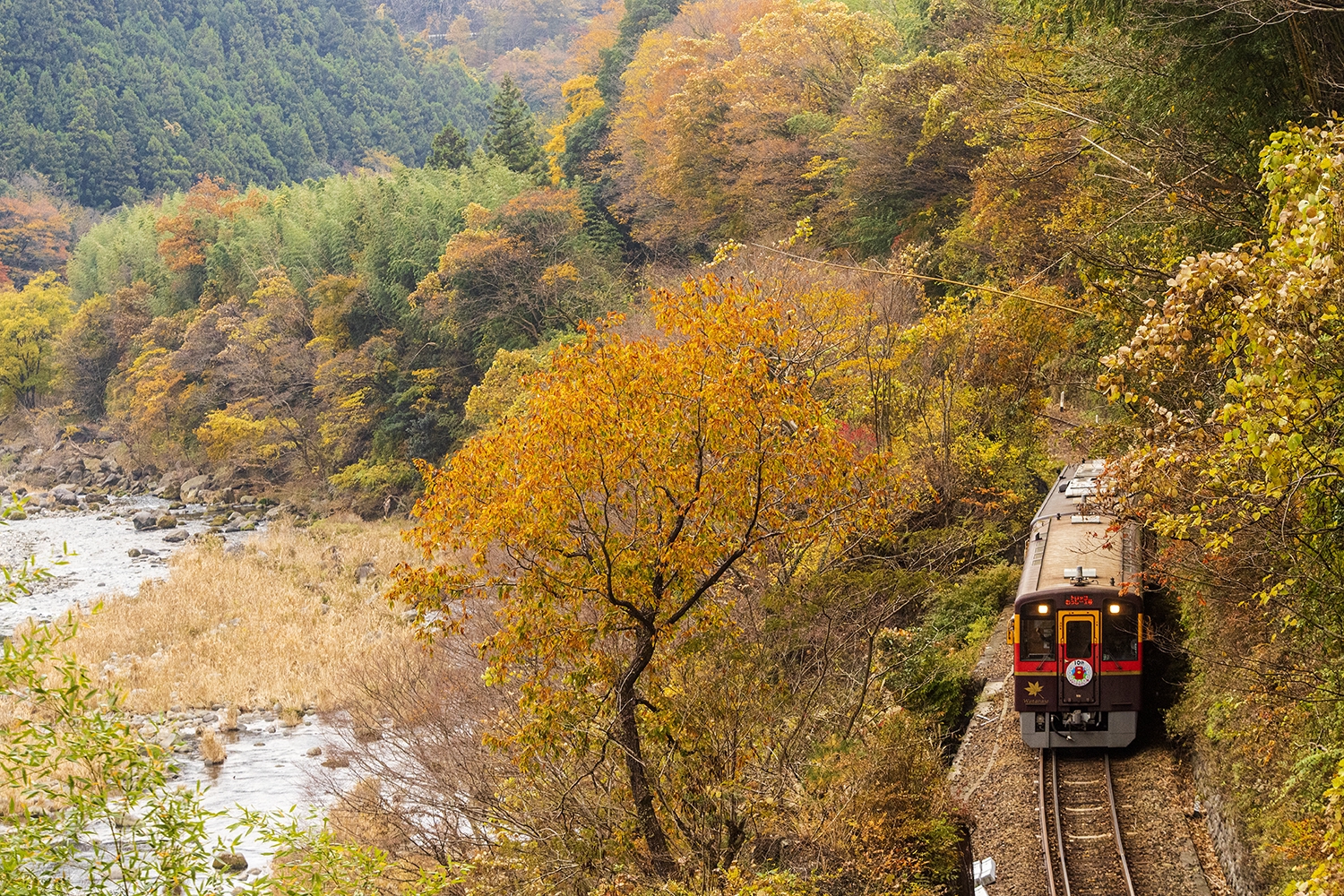 マーキンス現場便り :: 初秋のわたらせ渓谷鉄道探訪