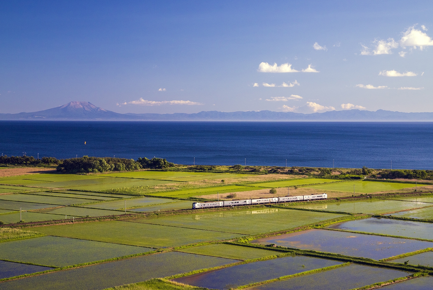 a10a94003c39096f93eecc27a98dc1