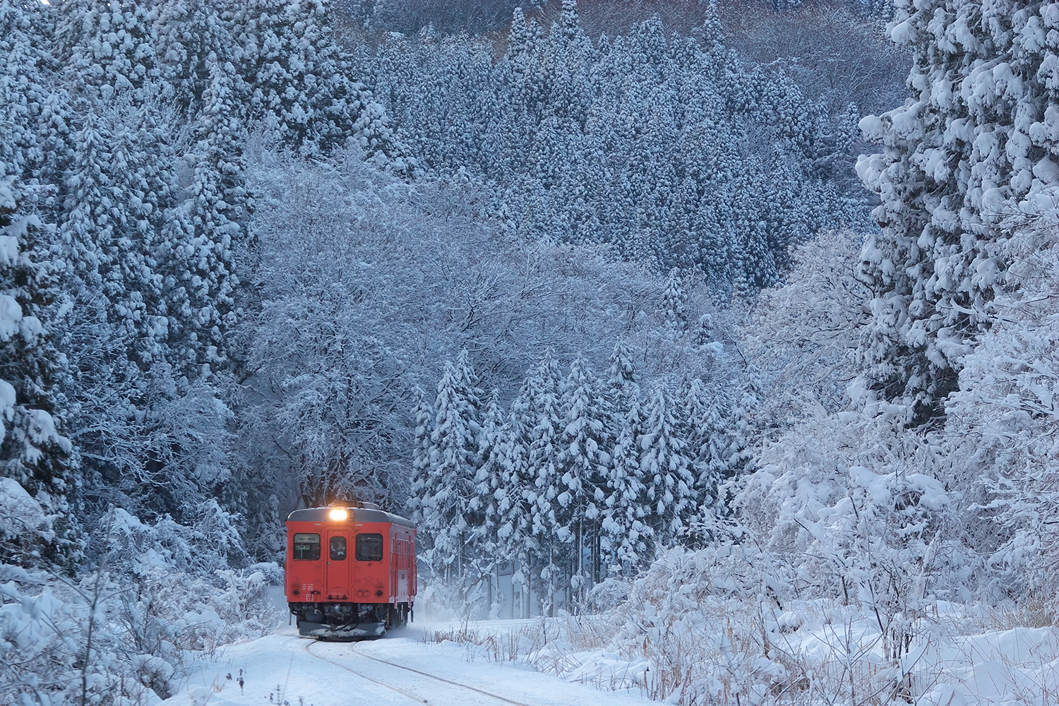 小湊鉄道のあけぼの (流紋) - 文学/小説