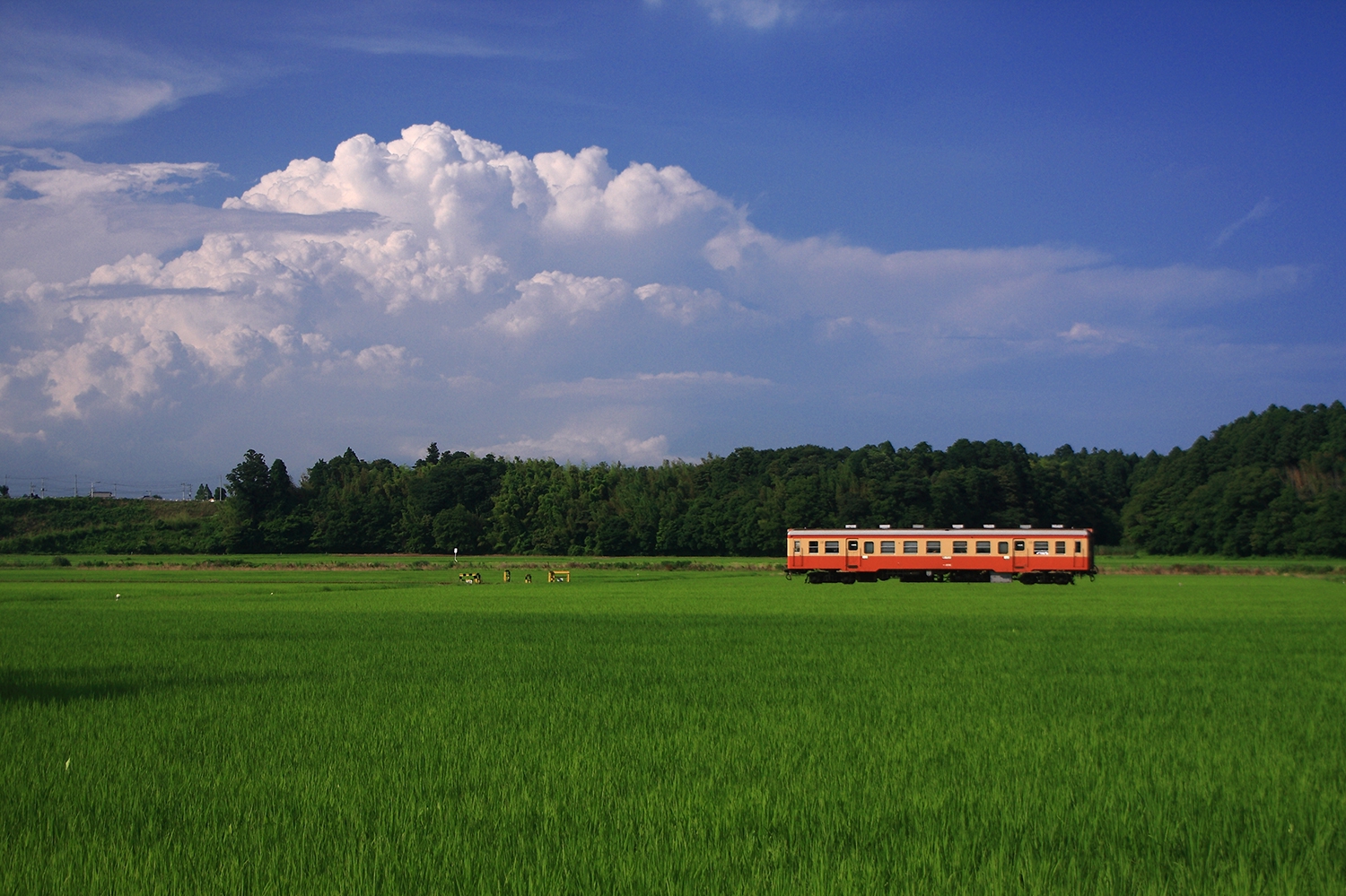鉄道風景2010総括（挑戦） | 四季の旅写真Gallery Annex