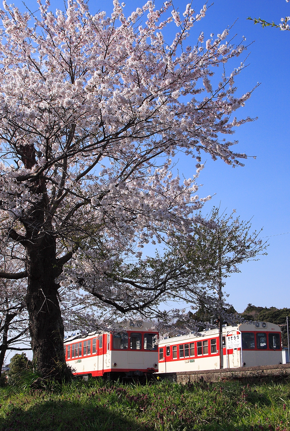 鉄道風景2006総括（南へ北へ） | 四季の旅写真Gallery Annex