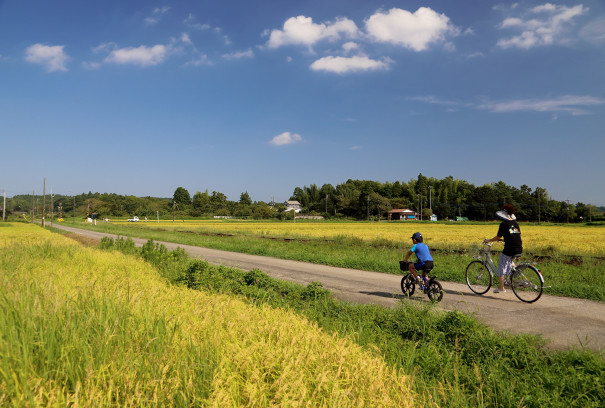 ゆく夏に 小湊鉄道 四季の旅写真gallery Annex