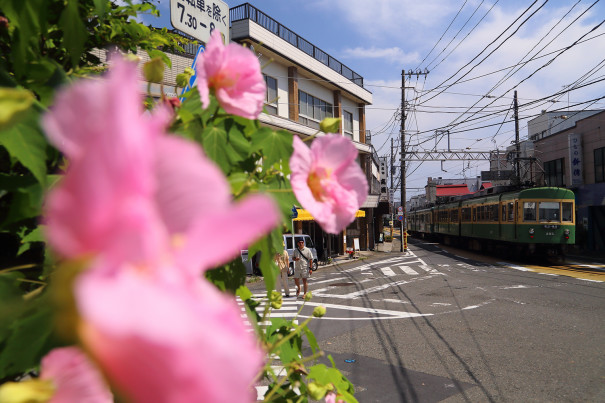 晩夏の彩り 四季の旅写真gallery Annex